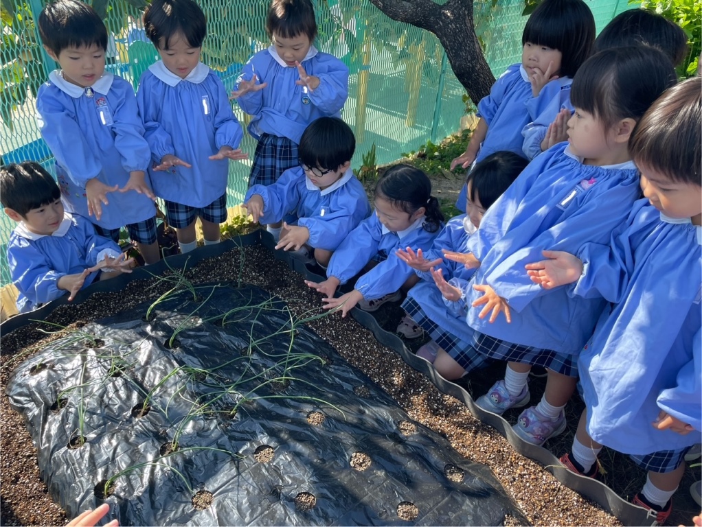 うみのほし幼稚園｜大阪府枚方市