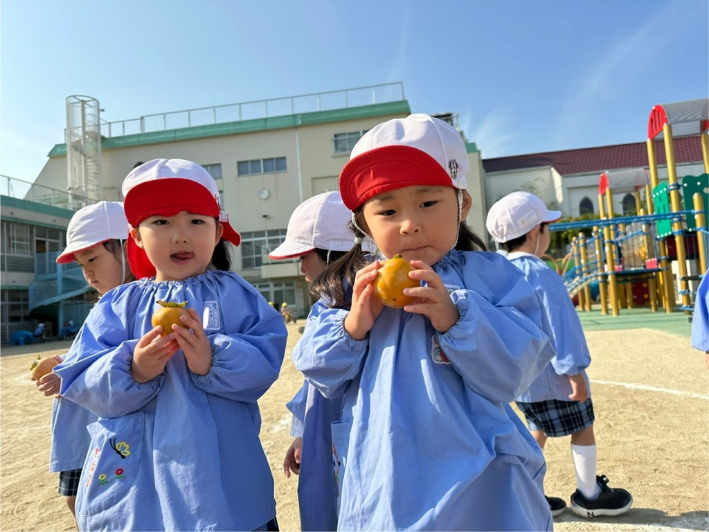 うみのほし幼稚園｜大阪府枚方市